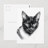 Cat Charcoal Briefkaart (Voorkant / Achterkant)