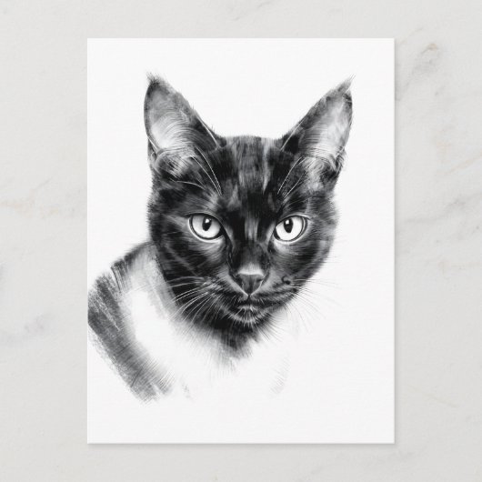 Cat Charcoal Briefkaart (Voorkant)