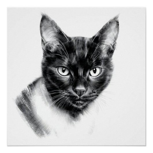 Cat Charcoal Perfect Poster (Voorkant)