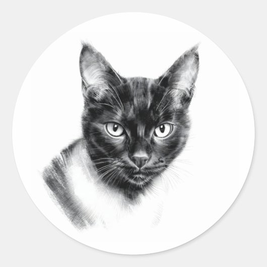 Cat Charcoal Ronde Sticker (Voorkant)