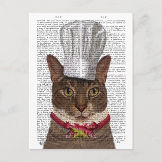 Cat Chef Briefkaart (Voorkant)