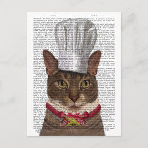 Cat Chef Briefkaart