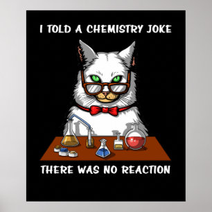 Cat Chemistry Teacher Funny No Reaction Joke Poster