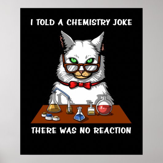 Cat Chemistry Teacher Funny No Reaction Joke Poster (Voorkant)