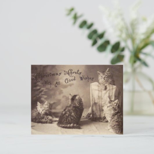  Cat Christmas Briefkaart (Staand voorkant)