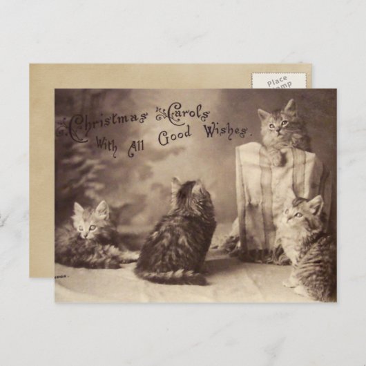 Cat Christmas Briefkaart (Voorkant / Achterkant)