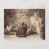 Cat Christmas Briefkaart (Voorkant)