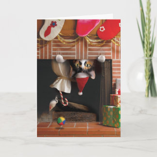 Cat Christmas Kaart Grappig Schattige Schattig Bes