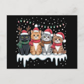 Cat Christmas Light Rendier Santa Cat Lover Feestdagenkaart (Voorkant)