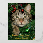 Cat Christmas Spint-fect Vakantie Folie Kerst Folie Uitnodiging (Voorkant)
