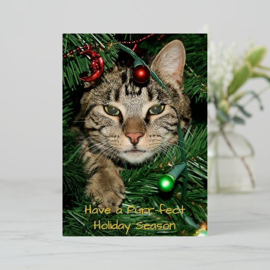 Cat Christmas Spint-fect Vakantie Folie Kerst Folie Uitnodiging (Staand Voorkant)