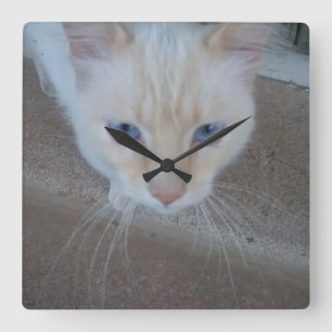 Cat Clock Vierkante Klok