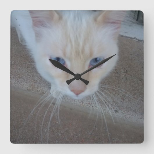 Cat Clock Vierkante Klok (Voorkant)