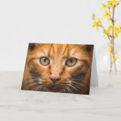 Cat Close-Up aanpasbaar wenskaart Kaart (Gele Bloem)