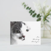 Cat Close-up denking about You Briefkaart (Staand voorkant)