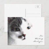 Cat Close-up denking about You Briefkaart (Voorkant / Achterkant)