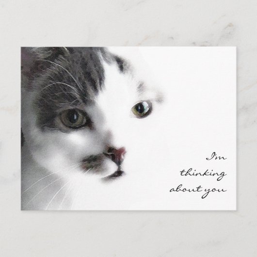 Cat Close-up denking about You Briefkaart (Voorkant)