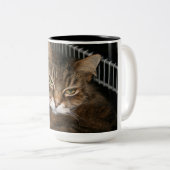 Cat Coffee Cup Tweekleurige Koffiemok (Voorkant rechts)