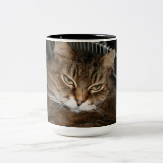Cat Coffee Cup Tweekleurige Koffiemok