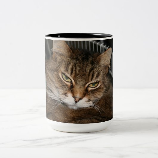Cat Coffee Cup Tweekleurige Koffiemok (Center)