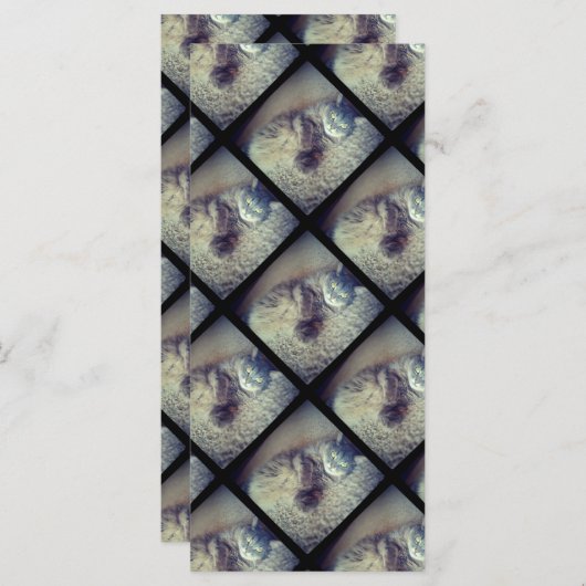 Cat Collage by Shirley Taylor (Voorkant / Achterkant)