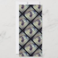 Cat Collage by Shirley Taylor