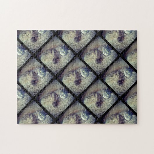 Cat Collage by Shirley Taylor Legpuzzel (Horizontaal)