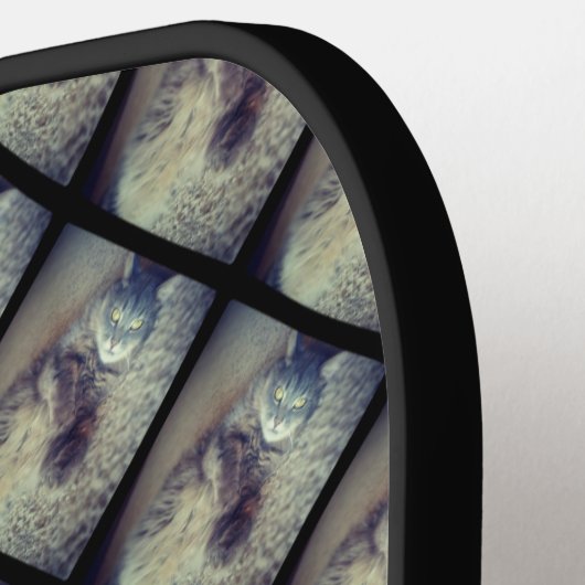 Cat Collage by Shirley Taylor Pickleball Paddle (Links Detail)