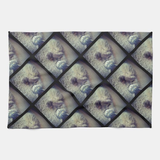 Cat Collage by Shirley Taylor Theedoek (Horizontaal)