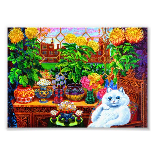 Cat College Master Foto Afdruk (Voorkant)