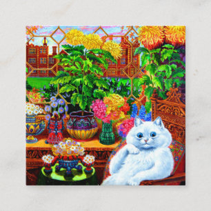 Cat College Master Informatiekaartje