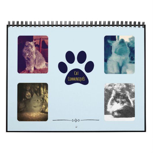 Cat Communiqués Kalender (Hoes)