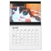 Cat Communiqués Kalender (Mar 2026)