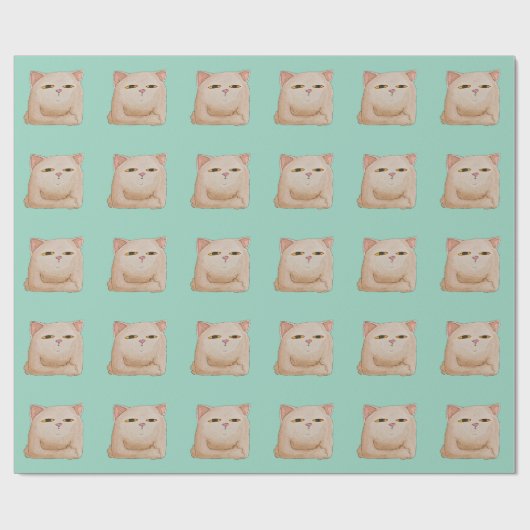 Cat Control Cadeaupapier (Vlak)