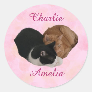 Cat Couple Your Names Ronde Sticker