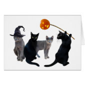 Cat Coven Halloween Card (Voorkant Horizontaal)