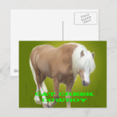 Cat Creek Cowboy PC Briefkaart (Voorkant / Achterkant)