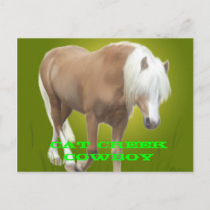 Cat Creek Cowboy PC Briefkaart