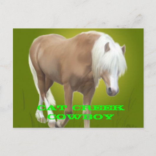 Cat Creek Cowboy PC Briefkaart (Voorkant)
