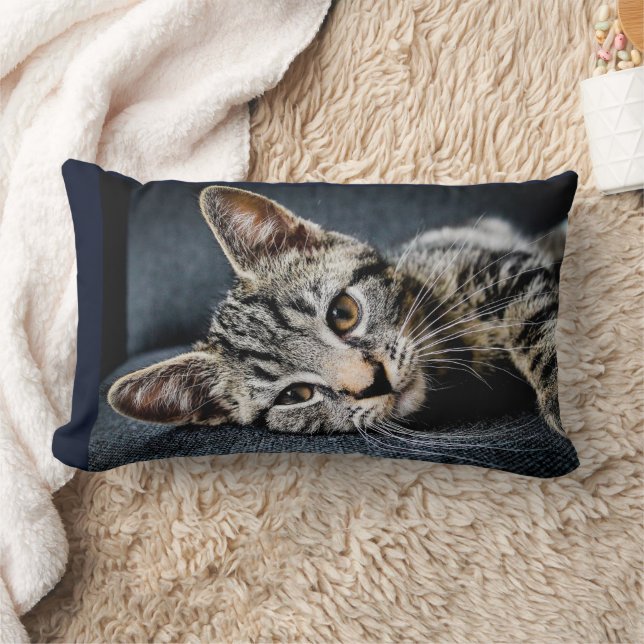 CAT CUDDLE CUTE KITTEN KUSSENS (Deken)