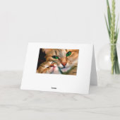 Cat cudles. kaart (Achterkant)