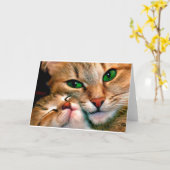 Cat cudles. kaart (Gele Bloem)