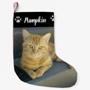 Cat Custom Pet Photo Cat Sinaasappel Kleine Kerstsok