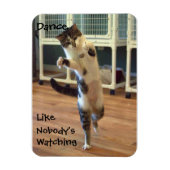 Cat Dance Magneet (Verticaal)