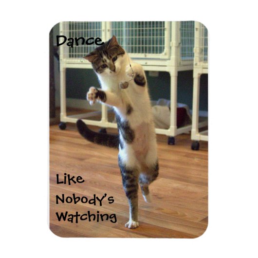Cat Dance Magneet (Verticaal)