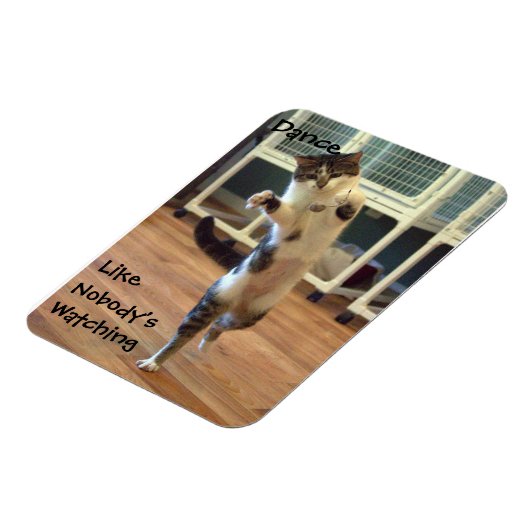 Cat Dance Magneet (Linkerzijde)