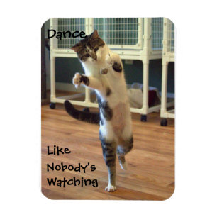 Cat Dance Magnet Magneet