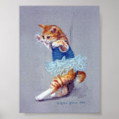Cat Dancing Poster (Voorkant)