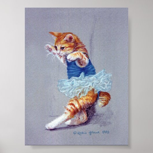 Cat Dancing Poster (Voorkant)