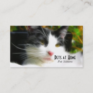 Cat Design Visitekaartje